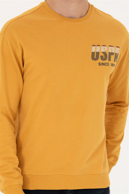 U. S. Polo Assn / Мужской горчичный свитшот - U.s. polo assn фото 6