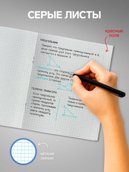 Комплект тетрадей из 4 штук, 96 листов в клетку Calligrata «Россия», обложка мелованный картон, блок №2, белизна 75% (серые листы)
