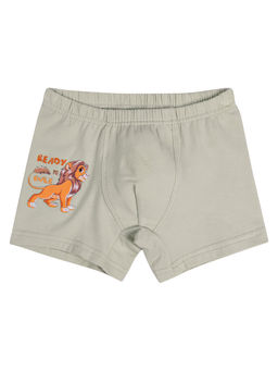 Трусы боксеры для мальчика Donella