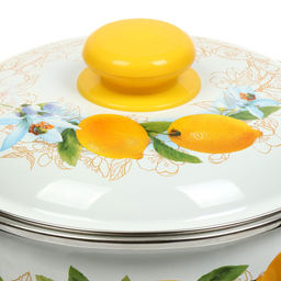 ЭМ_Кастрюля 3,0 л сфер. ЛИМОНЫ ОБОД н/о, арт. 3МС181Р