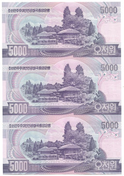 Банкнота 5000 вон 2006 года Северная Корея  Лист из трех банкнот