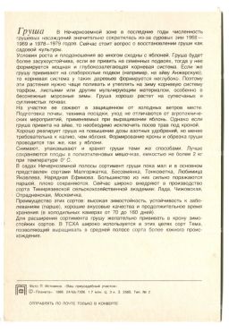 Открытка Груша