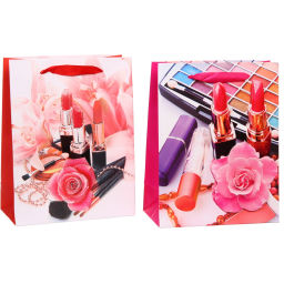 Цена за 12 шт. Пакет подарочный "Женские радости" 18*24*8.5 см, микс