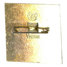 Значок Москва  Митропольчьи палаты  Крутицкое подворье XVII век