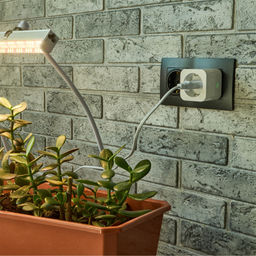 USH-A101 1G/WF WHITE Умная розетка Wi-Fi. 16A. До 3680Вт. Голосовое управление+приложение UnielSmart. TM Uniel - Volpe фото 6