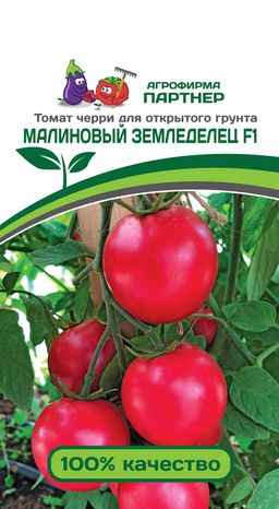 Томат Малиновый Земледелец