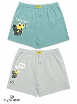 Pelican 2шт. в упаковке BUB3273(2) трусы для мальчиков