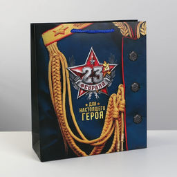 Пакет ламинированный вертикальный Для настоящего героя!, M 26 30 9 см