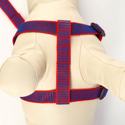 Комплект амуниции рельефный, поводок 120 х 2 см, ОГ 44-50 см, красно-синий - Пижон фото 5