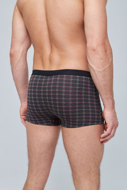 Трусы мужские боксеры Rogers 83134 модал, эластан размеры M, L, XL, 2XL  фото 4