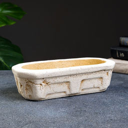 Фигурное кашпо для цветов «Кактусница», 800 мл, 24×9×7 см, керамика, бежевое