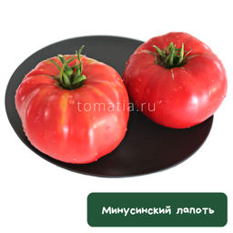 Минусинское бычье сердце с носиком