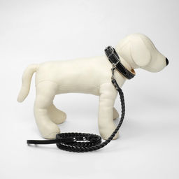 Комплект ошейник (34-45х2 см) и поводок (120х0.8 см) с косой, чёрный с бежевым - Пушистое счастье фото 2