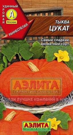 Тыква Цукат 1г (Аэлита)
