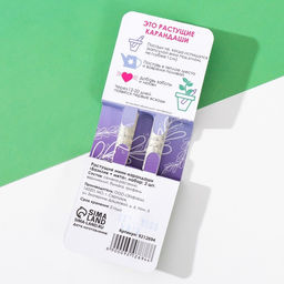 Набор для выращивания, карандаши подарочные «Базилик + Мята», mini, простые чернографитные, 2 шт.