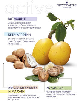 Provocateur Бальзам д/губ прозрачный LIP PERFECTOR GRAPE 10гр тюбик