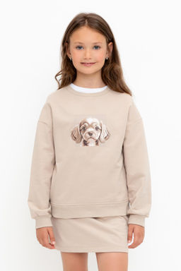 Crockid _ КР 302554/темно-бежевый к495 джемпер для дев