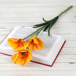 Цветок искусственный Майские 60 см / 149NA-22 /уп 100/150/600/ - Галеонтрейд фото 5