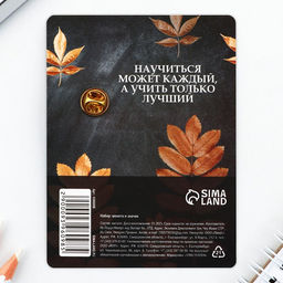 Набор монета и значок Учитель, 7.5 х 10 см - Семейные традиции фото 7