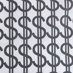 Постельное белье Этель евро Dollars 200*217 см,220*240 см,70*70 см -2 шт,бязь  фото 10