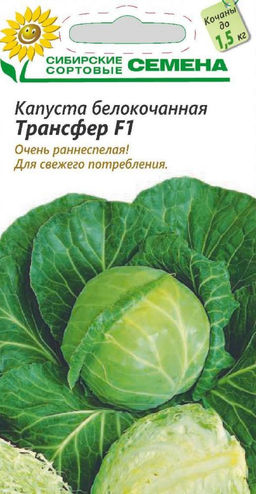 Трансфер F1 капуста 0,1г б/к ранняя (ссс) Р