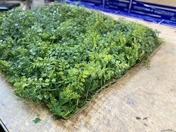 Искусственная трава на стену, коврик в модулях,мелколистный газон искусственный 60 х40см 420г - Buro фото 3