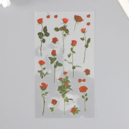 Наклейки пластик Розы набор 6 листов 10х18 см - Simaland фото 3