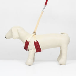 Комплект с мягкой шлейкой Клетки, размер S, поводок, 120 х 1,5 см, ОГ 28-62 см, красный - Пижон фото 2