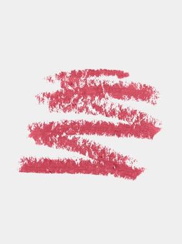 -50% LN Professional Карандаш для губ 04 дерзкая камелия/daring camellia