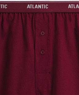 ATLANTIC 2RMX-001 Трусы боксеры - набор (2 шт.) графитовый + каберне  фото 4