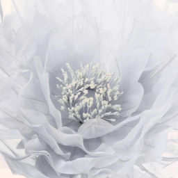 Фигура светодиодная "Нежный цветок" на стойке, d-75см, h-1,6 м, пост.свечение,220v,Белый