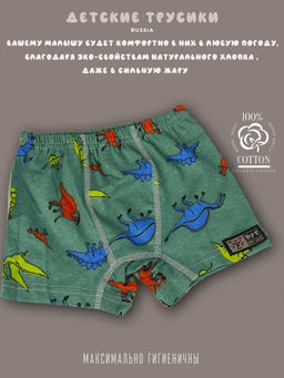 Комплект трусов для мальчика 3 шт. dff Тр 3000/11,14,17 Размер 28 - Sergio valentini фото 4
