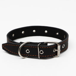 Ошейник кожаный на синтепоне, безразмерный, 65 х 3 см, ОШ 22-55 см, чёрный - Пижон фото 2