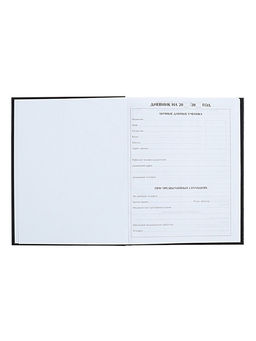 Цена за 2 шт. Дневник универсальный для 1-11 классов «Аноним», твёрдая обложка, глянцевая ламинация, 40 листов