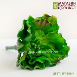 067 Суккулент 7 - Без тм фото 4