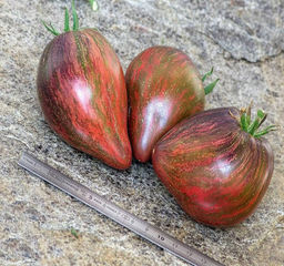 Мятежный звездный истребитель ведущий