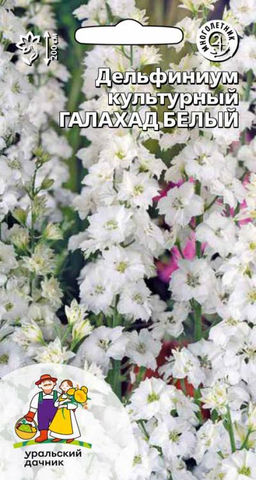 Дельфиниум ГАЛАХАД  Крупные изящные цветоносы!
