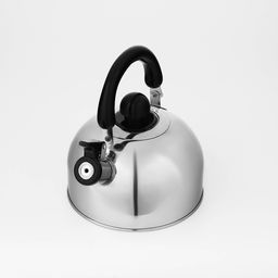 Чайник Доляна «Чёрная ночь», 2 л, со свистком, индукция, нержавеющая сталь, хромированный