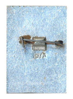 Значок Смольный