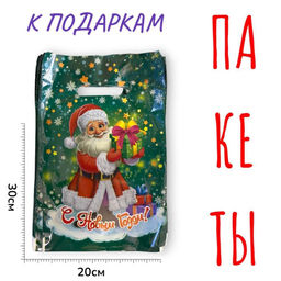 Цена за 100 шт. Пакет подарочный 20х30см