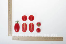 Томат Альфонс - Партнер фото 6