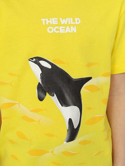 CRB wear/CSKB 63789-30-402 Футболка для мальчика,желтый/Ex.Cherubino  фото 4