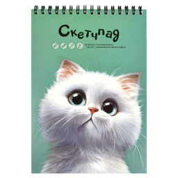 Альбом для рисования (Скетчпад) А5 140х200 мм, 60 л, блок - белый офсет 100 г/м?, арт. 68504 МЕЧТАЮЩ