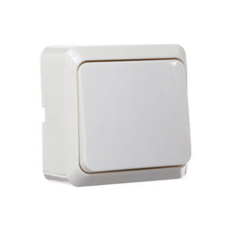 Цена за 2 шт. Выключатель Luazon Lighting "Лига", 10 А, 1 клавиша, накладной, белый