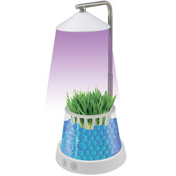 ULT-P36-3W/4000K+SPSB IP40 WHITE Светильник для растений светодиодный, с подставкой и декоративной емкостью. Белый свет(4000K) + cпектр для рассады и цветения. TM Uniel