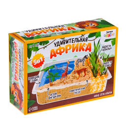 Набор для опытов Удивительная Африка, 5 опытов в наборе - Эврики фото 7