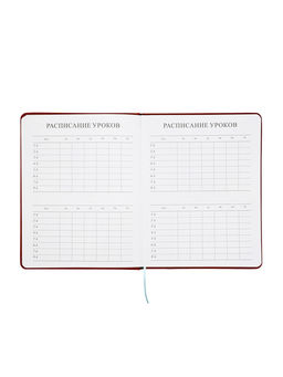 Дневник школьный 1-11 класс, ляссе, обложка искусственная кожа, с хлястиком, коричневый