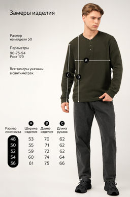 Мужской лонгслив на пуговицах Happyfox