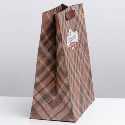 Цена за 2 шт. Пакет подарочный крафтовый, упаковка, Поздравляю от всей души!, ML 23?27?11.5 см