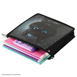 Папка для школьных тетрадей пластиковая Феникс+, арт. 69297/ 12 ПРИНЦЕССА ЛУНА